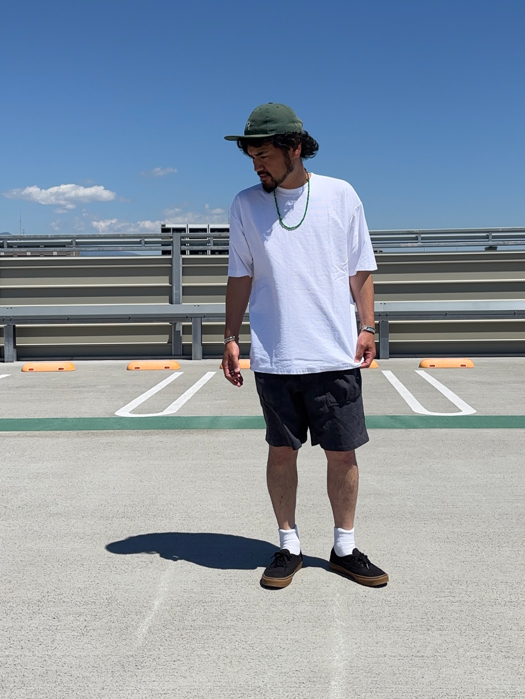 【RAILROAD SOCKS】 Health Trak Quarter Socks
