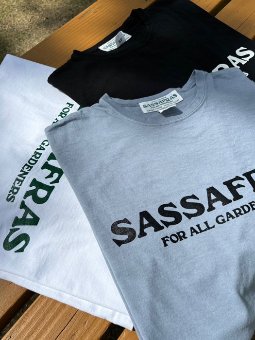 SASSAFRAS T 1/2　