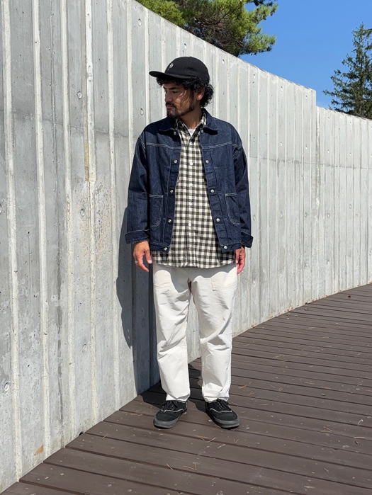 St. Louis (Cotton Flannel Plaid)